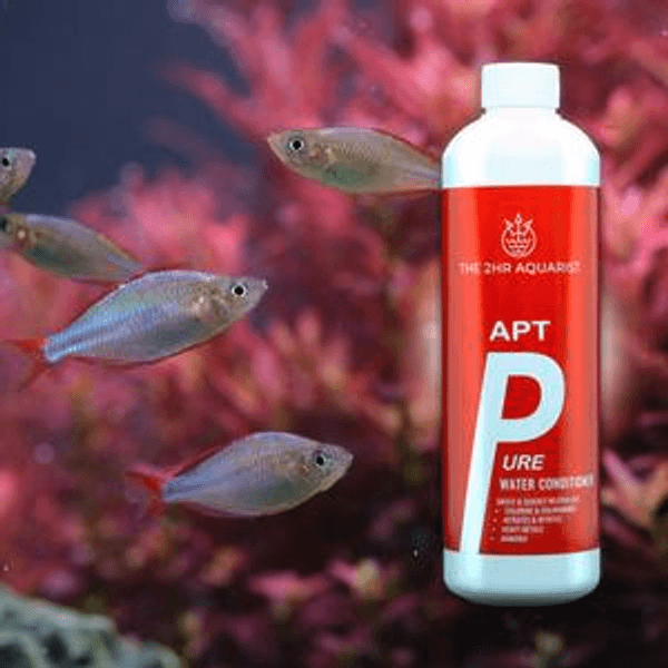 The 2Hr Aquarist APT Pure