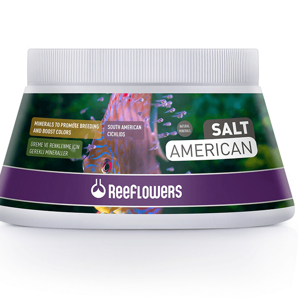SaltAmerican